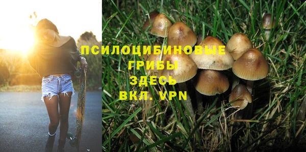 круглые Аркадак
