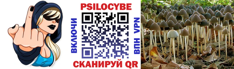 Галлюциногенные грибы мухоморы  цена   Светлый 
